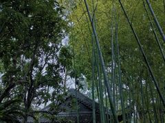 -豫园湖心亭茶楼