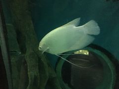 -苏州海洋馆