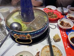 -董记老清泉·鲜切涮羊肉(窑岭店)