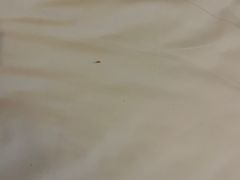 -7天优品·北京国贸大望路地铁站店