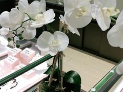 -乐天百货(环球中心店)