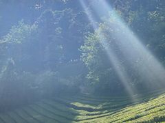 -敬亭山风景名胜区