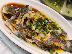 -金海湾海鲜排档(朱家尖店)