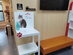 -申普宠物医院·心脏介入·心血管微创(总院)