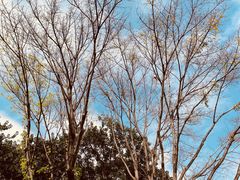 -人民公园(罗湖区)