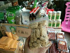 -长寿村