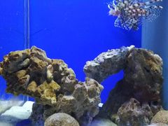 -海合安武汉极地海洋公园
