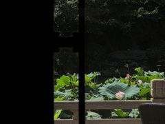 景观位-杭州西子湖四季酒店·金沙厅