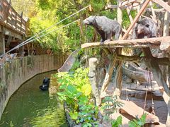 -长鹿旅游休博园