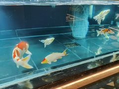 -北京海德酒店温泉