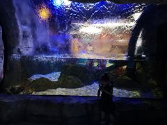 -重庆欢乐海底世界