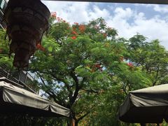 -缘生态云南菜·野生菌庭院餐厅(华侨城店)