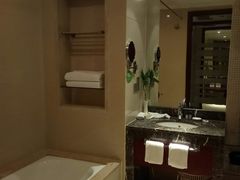 -天鹅湖大酒店