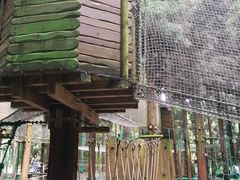 -武陵山森林公园