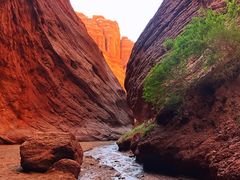 -天山神秘大峡谷