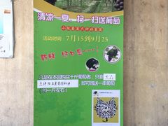 -马陆小张葡萄园农家乐