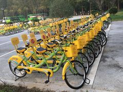 -黄海国家森林公园