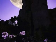 -雁荡山风景名胜区