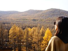 -莫尔道嘎国家森林公园