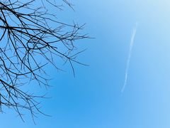 -富山日式料理(宽厚里店)