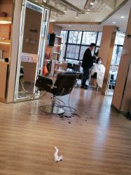 -一東造型烫发染发