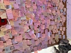 -白兔子密室(长寿路店)