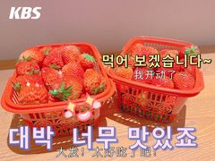 -梅城古镇