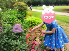 -瀛洲公园