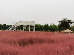-嘉北郊野公园