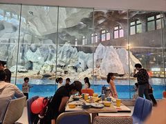 -帝企鹅自助餐厅•儿童岛•真企鹅(长隆企鹅酒店)