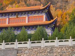 -遵化市禅林寺古银杏风景园