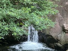 -花岩国家森林公园