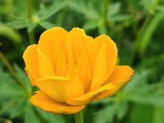 -白草畔自然风景区