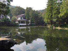 -杭州花家山庄