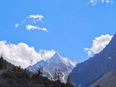 -稻城亚丁景区-冲古草甸