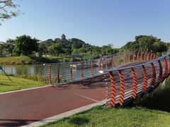 -王借岗森林公园