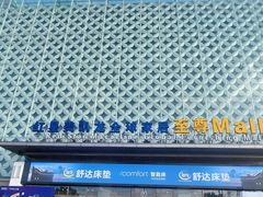 -红星美凯龙(上海沪南店)