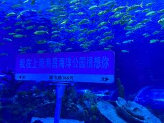 -小杨生煎(龙阳广场店)
