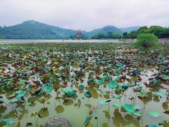 -顺峰山公园