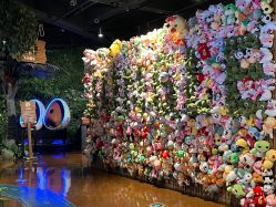 -奇幻丛林(佛罗伦萨小镇店)