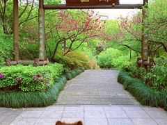 -杭州半山国家森林公园