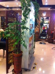 店内环境-DRG达人馆造型