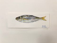-青沐画室·专业美术培训