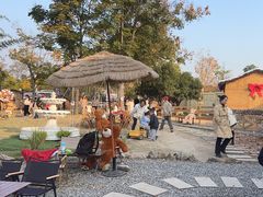 -HERRE·FARM 赫尔露营农场·团建聚会包场