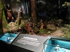 -大庆市博物馆