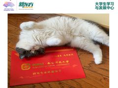 -新东方·考研·四六级·专转本(全民校区)