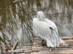 -济南野生动物世界