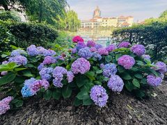 -奉浦四季生态园