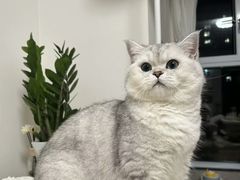 -联合动物医院(光谷诊疗中心)