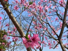 -常德桃花源景区